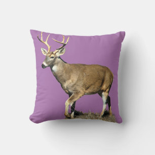 White Tails Deer Buck Kissen