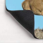 White Tails Deer Buck Mousepad (Ecke)