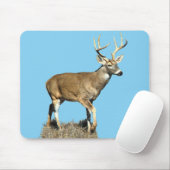 White Tails Deer Buck Mousepad (Mit Mouse)