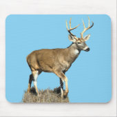 White Tails Deer Buck Mousepad (Vorne)