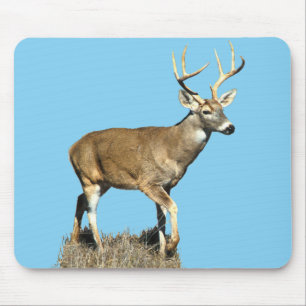 White Tails Deer Buck Mousepad