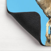 White Tails Deer Buck Mousepad (Ecke)