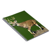 White Tails Deer Buck Notizblock (Rechte Seite)