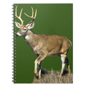 White Tails Deer Buck Notizblock