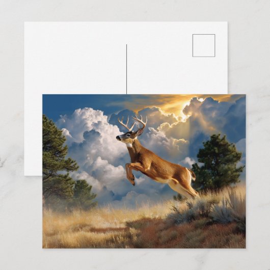 White Tails Deer Buck Postkarte (Vorne/Hinten)