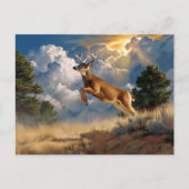 White Tails Deer Buck Postkarte (Vorderseite)