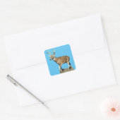 White Tails Deer Buck Quadratischer Aufkleber (Umschlag)