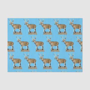 White Tails Deer Buck Seidenpapier