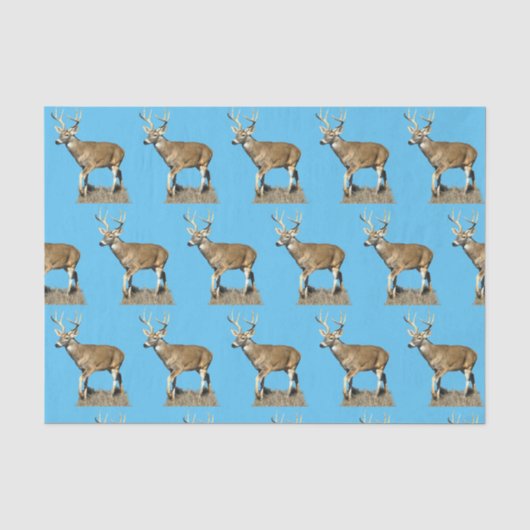 White Tails Deer Buck Seidenpapier (Vorderseite)