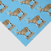 White Tails Deer Buck Seidenpapier (Ausschnitt)