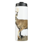 White Tails Deer Buck Thermosbecher (Vorderseite)