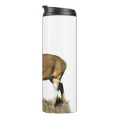 White Tails Deer Buck Thermosbecher (Nach rechts gedreht)