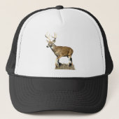 White Tails Deer Buck Truckerkappe (Vorderseite)