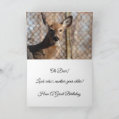 White Tails Deer Happy Birthday Karte (Innenseite)