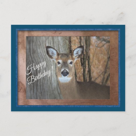 White Tails Deer Happy Birthday Postkarte (Vorderseite)