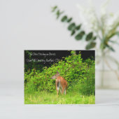White Tails Doe Deer in Hartford, CT Postkarte (Stehend Vorderseite)
