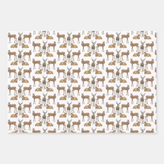 White Tails Hirsche Wildlife Art Geschenkpapier Set (Vorderseite 3)