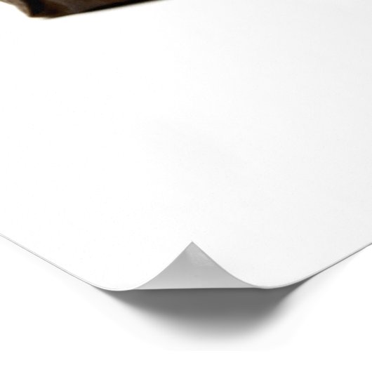 White Tara Poster (Ecke)