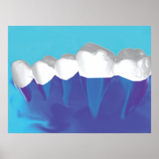 White Teeth Design Zahnarzt Orthodontist Poster (Vorne)