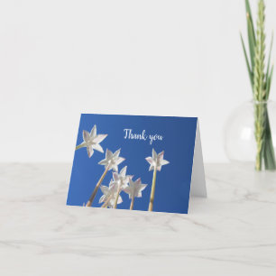 White Texas Wildblumen erreichen Deep Blue Sky Dankeskarte