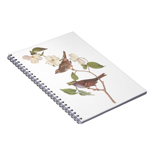 White Throated Sparrow Audubon Birds with Flowers Notizblock (Rechte Seite)