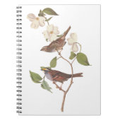 White Throated Sparrow Audubon Birds with Flowers Notizblock (Vorderseite)