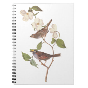 White Throated Sparrow Audubon Birds with Flowers Notizblock