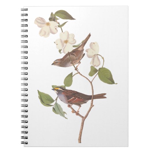 White Throated Sparrow Audubon Birds with Flowers Notizblock (Vorderseite)