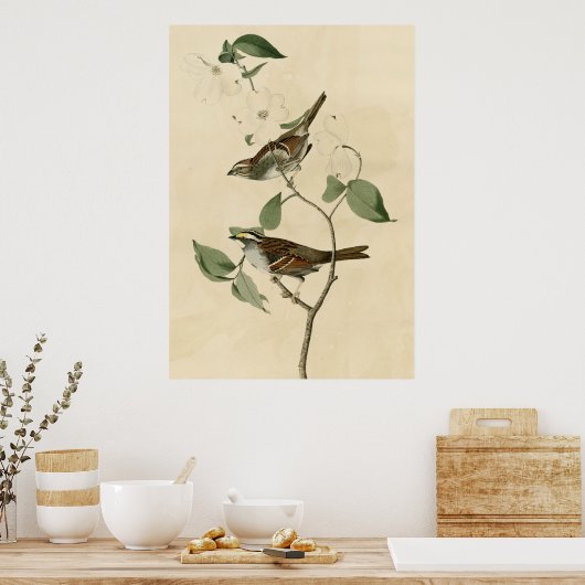 White throated Sparrow Poster (Küche)