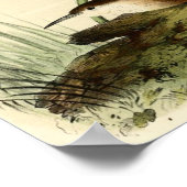 White Throated Wren Poster (Ecke)