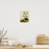 White Throated Wren Poster (Küche)