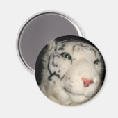 White Tiger 1 Magnet (Vorderseite/Rückseite)