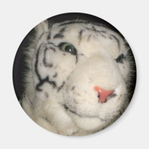 White Tiger 1 Magnet