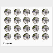 White Tiger 9 Stickers (Blatt)