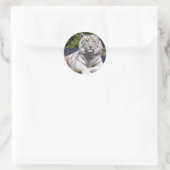 White Tiger 9 Stickers (Tasche)