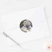 White Tiger 9 Stickers (Umschlag)