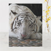 WHITE TIGER BIRTHDAY GREETING CARD KARTE (Gelbe Blume)