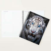 White Tiger Blue Eyes Planer (Anzeige)