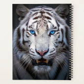 White Tiger Blue Eyes Planer (Rückseite)