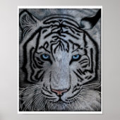 White Tiger - Casper Poster (Vorne)