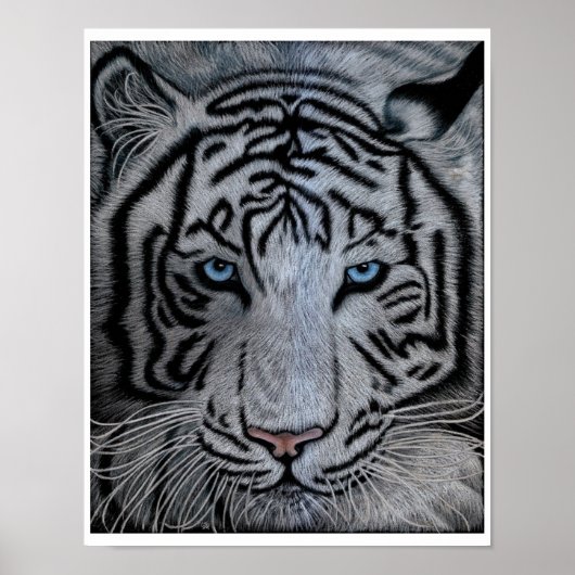 White Tiger - Casper Poster (Vorne)