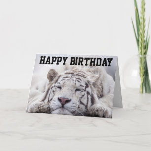 WHITE TIGER CAT-NICKERCHEN, EAT CAKE, GEBURTSTAGSK KARTE