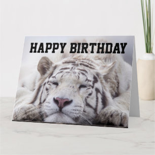 WHITE TIGER CAT-NICKERCHEN, EAT CAKE, GEBURTSTAGSK KARTE