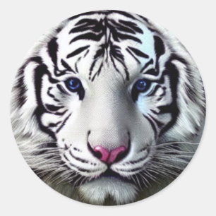 White Tiger Classic Round Sticker