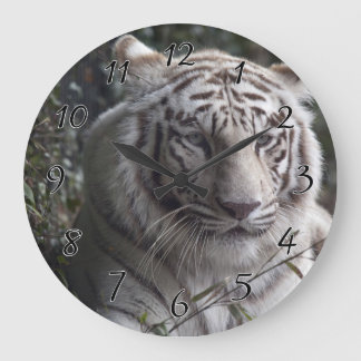 White Tiger Close-up Große Wanduhr