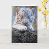 White Tiger Cub Is Paw Licking Good Karte (Gelbe Blume)
