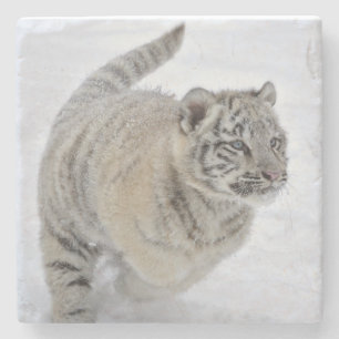 White Tiger Cub Steinuntersetzer