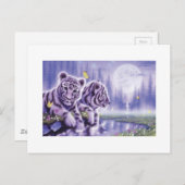 White Tiger Cubs Postkarte (Vorne/Hinten)
