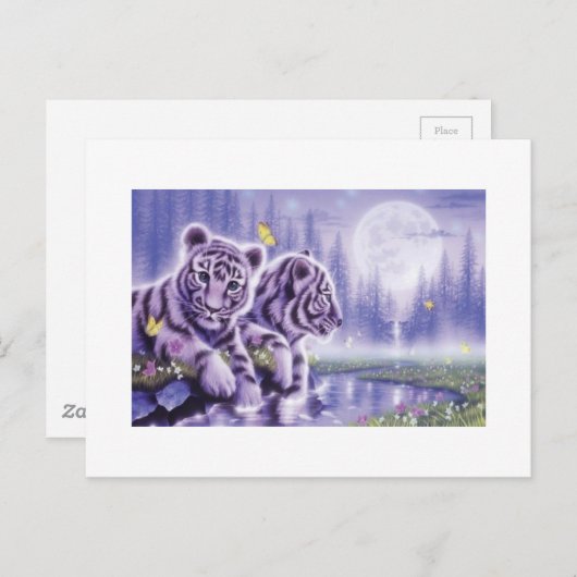 White Tiger Cubs Postkarte (Vorne/Hinten)