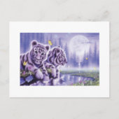 White Tiger Cubs Postkarte (Vorderseite)